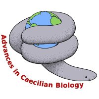 Caecilian Biology(@CaecilianBiol) 's Twitter Profile Photo