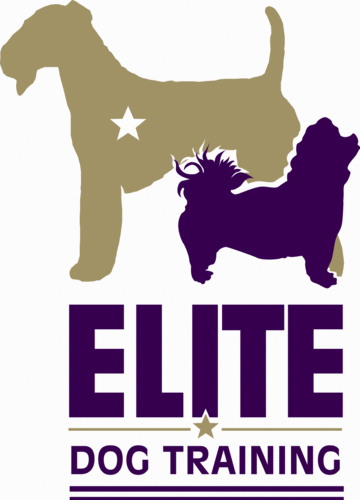 Elite Dog Training is Dallas/Ft. Worth’s Leader in customized dog training, providing in-home private training sessions throughout North Texas.