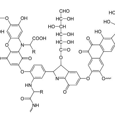 KwasyP's profile picture. Niestrudzony poszukiwacz wiedzy o świecie.
#Polska 
#KwasyHumusowe
#KwasyHuminowe
#KwasyFulwowe
#HumicAcids
#FulvicAcids