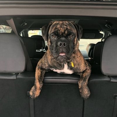 JohnAnthony1019's profile picture. My YouTube Channel: https://t.co/jytcPJruIA