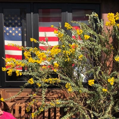 R7n1heNPlaUIdmh's profile picture. 2児のママ👩