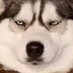 hmm… (@daddyoharry) Twitter profile photo hmm… (@daddyoharry) Twitter profile photo