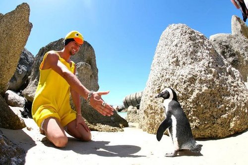 mycubefunspot's profile picture. As the MyCube team travels promoting our social network we will share pictures and experiences.  Hope you catch us while were on the road!