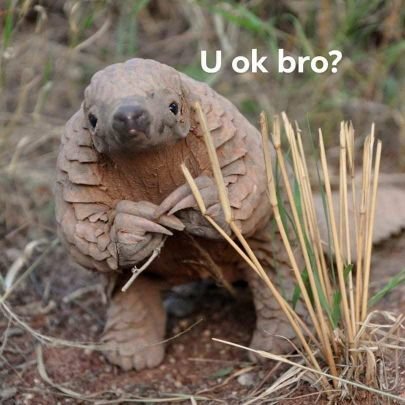 raphleck's profile picture. 