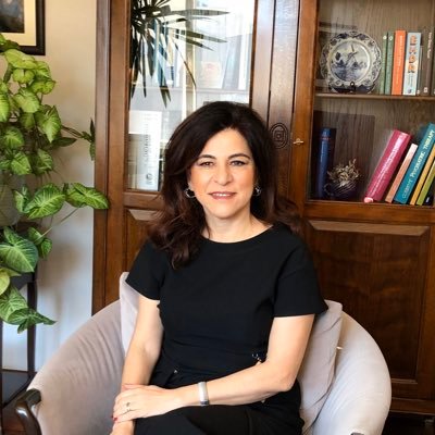 Psikiyatrist, Psikoterapist TTB Kadın Sağlığı ve Kadın Hekimlik Kolu Yürütme Kurulu Üyesi, CETAD’da eğitici, terapist