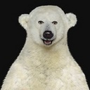 Ryan Spillane - @FuzzyAUS - Twitter