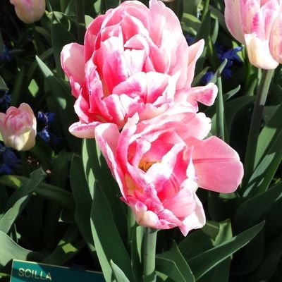 jrichardsme's profile picture. Art, History, Writing. Slow Food, Slow Travel, Wild Places.