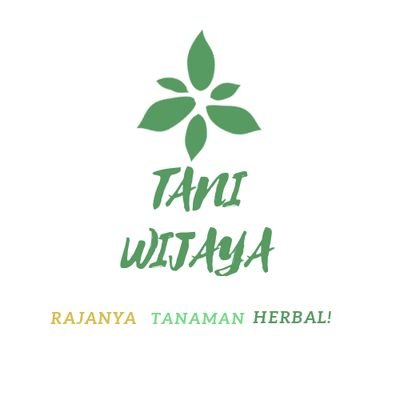 Follow ig : TaniWijaya.herba
kunjungi :
https://t.co/qS3neule9I