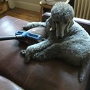 Barry Needham - @BarryNeedham5 - Twitter