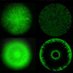 BioComplexity_NBI (@biocomplex_nbi) Twitter profile photo BioComplexity_NBI (@biocomplex_nbi) Twitter profile photo
