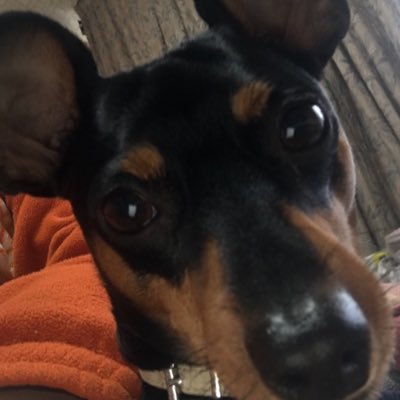 Mc1De4FmlAIfalq's profile picture. 福山でオフショア中心にやってます❗️たまにおかっぱりで、シーバス、チニング、ダンゴ釣りやってます😆不慣れですがよろしくお願いします❗️❗️