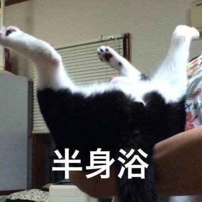 まよすけGO2日目東Ｌ-45aのプロフィール写真