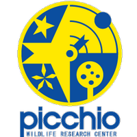 ピッキオ (@picchio_picchio) 's Twitter Profile
