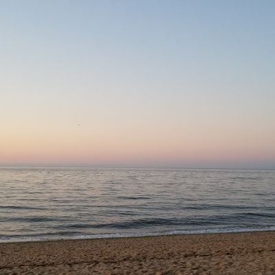 clavicytherium0's profile picture. Biden/Harris 2020! Psychiatrist, psychoanalyst, mother, wife, lapsed philosophy student, recently unlapsed grateful piano student, lifelong liberal. She/her.