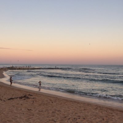 amyprose's profile picture. 