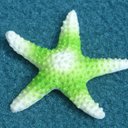 Cara Petersen - @carapetersen1 - Twitter