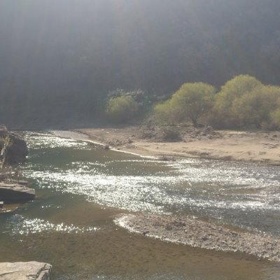 kimklinik's profile picture. 