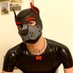 PupBruck (@thebruckpup) Twitter profile photo PupBruck (@thebruckpup) Twitter profile photo