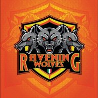 RaveningWolvesFC (@ravwolvesfc) 's Twitter Profile