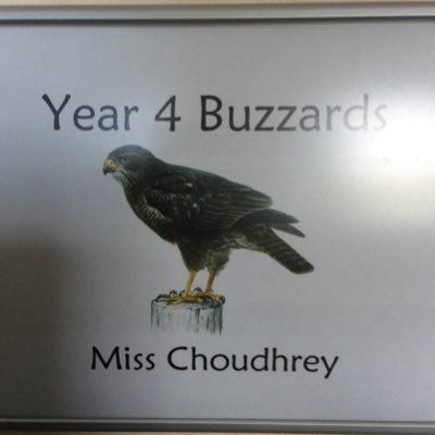 MissChoudhreyY4's profile picture. 