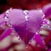 karine Franch (@karine_franch) Twitter profile photo karine Franch (@karine_franch) Twitter profile photo