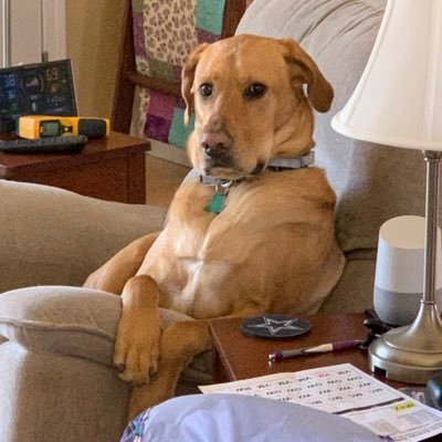 HeatherKirk17's profile picture. 