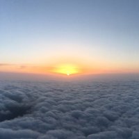ERIC XU (@eric0xu) 's Twitter Profile