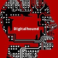 Digitalhound - Results-driven SEO Agency in London (@digihound1) 's Twitter Profile