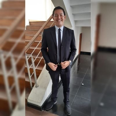 Ingeniero en Sistema.