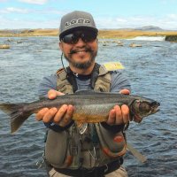 Ted Lee (@tedleefly) 's Twitter Profile