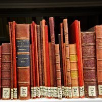 Bibliothek des Ibero-Amerikanischen Instituts (@iai_bibliothek) 's Twitter Profile