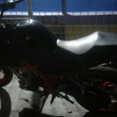 Kater07218021's profile picture. alim