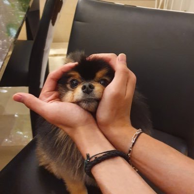 3a908haAujLmTJY's profile picture. 社会人の👦息子と👩娘を持つ、親子AMRYです 。 私🐯&🐥 娘🐰&🐱ペン 愛知県在住です❤︎