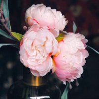 أ. فاطمة العنزي (@alenzi_fatmah_) Twitter profile photo