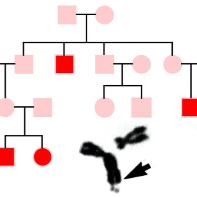 Official account of Department of Human Genetics at Emory University