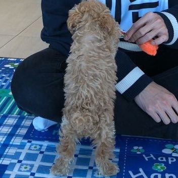 satellite_4_1's profile picture. 샵쥐