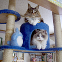 Tom&Marie - @Tom_Marie - Twitter