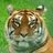 Rabz46's profile image