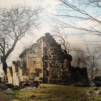 rKcdq1TcDeLMizR's profile picture. Film Director, Head of “Silk Factory Studio”