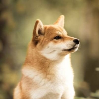 peterandhika's profile picture. I love happy ending,they are so rare..