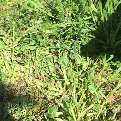 lp6CUQWRhXw1nkH's profile picture. 