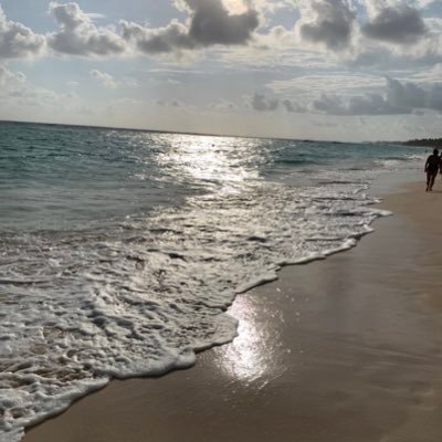 Schicky7's profile picture. 