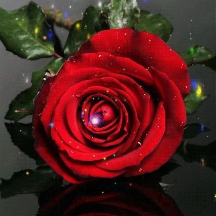 AbdelbassetDer1's profile picture. Ok