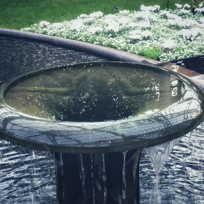 RustDesignLabs's profile picture. Where science and art meet to create