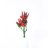 Asm_Mdn