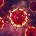 Coronavirus Live Profile picture