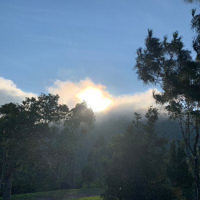 real_SeanLindo's profile picture. 