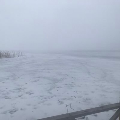 2020challenge1's profile picture. what a great world!