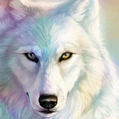 We are the mosaic system. a system of over 20 members. main account is @Penguicorn and we'd like someone to draw us. dm us if so. endo friendly. body is white