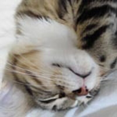 あいかわさんのプロフィール画像